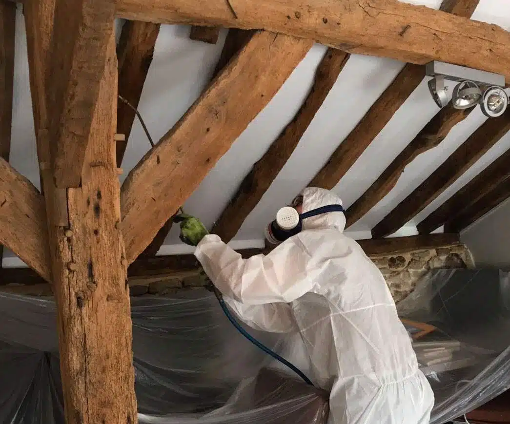 Pulvérisation d'un traitement anti-mousse sur une toiture dans l'Essonne